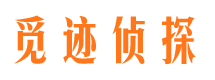 高安市私家侦探